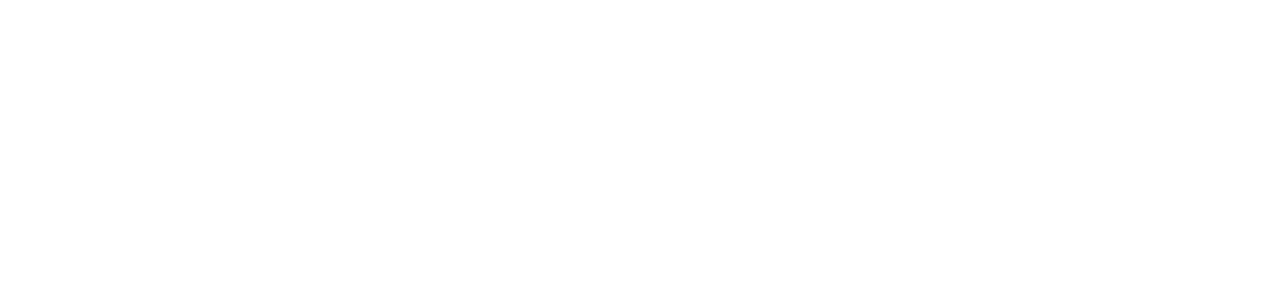 Sponsor