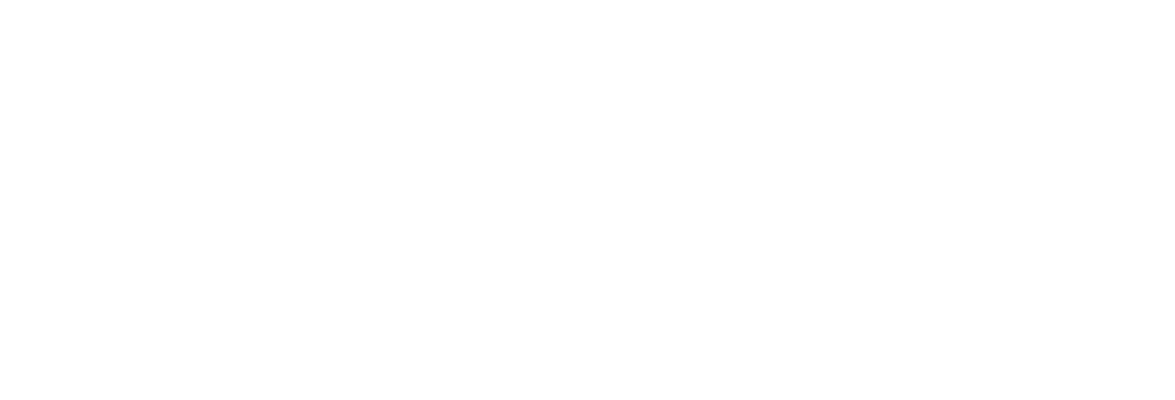 Sponsor