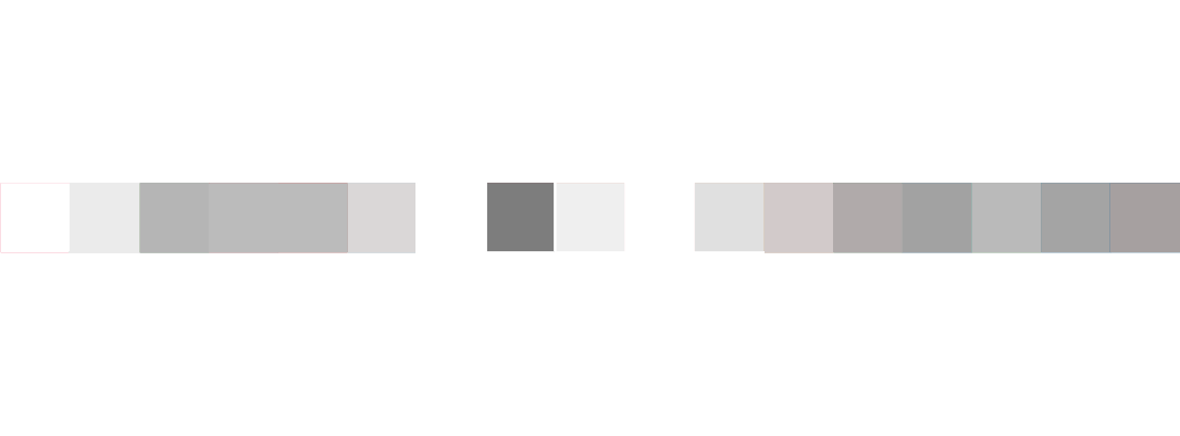 Sponsor