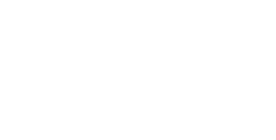 Sponsor