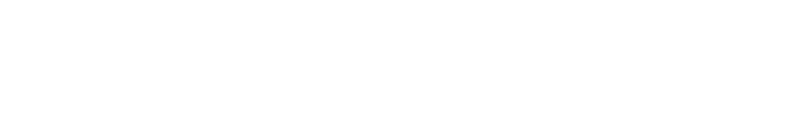 Sponsor